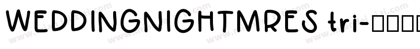 WEDDINGNIGHTMRES tri字体转换